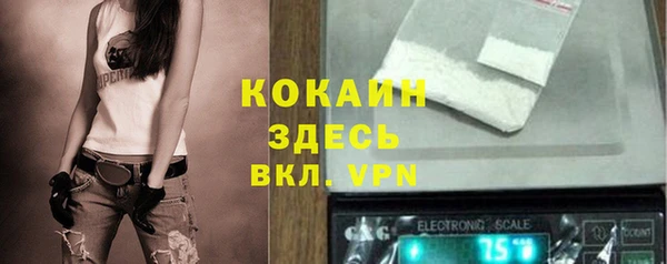 apvp Алексин