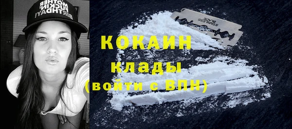 сатива Алзамай