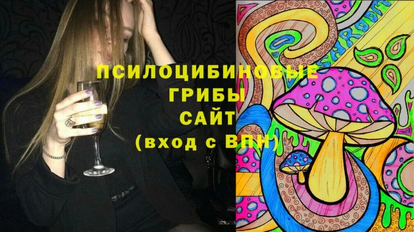 сатива Алзамай