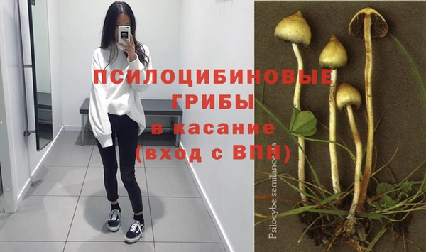 прущая мука Алексеевка