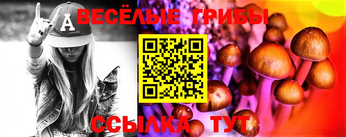 Галлюциногенные грибы MAGIC MUSHROOMS Родники